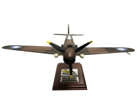 Rafflepages.com - P40 Warhawk Model Airplane to help support Chennault Aviation and Military Museum