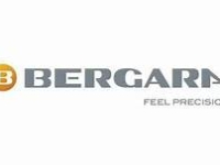 Rafflepages.com - Win a Bergara Action Rifle and help Support The Center for Children and Families